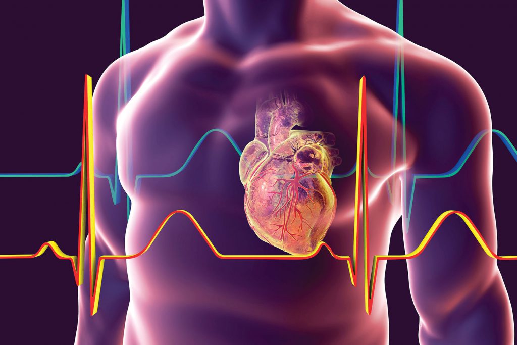 Por que a cardiologia é tão importante na vida dos brasileiros?